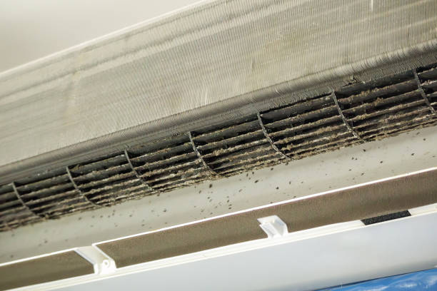 Best Affordable Duct Cleaning Services  in Breckenridge Hills, MO